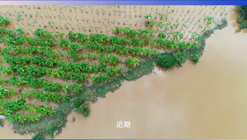 大禹節(jié)水：嚴(yán)陣以待，共筑防汛抗旱屏障