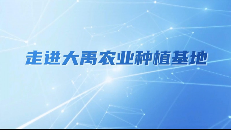 大禹農(nóng)業(yè)| 多元化種植基地矩陣，探索農(nóng)業(yè)現(xiàn)代化新路徑